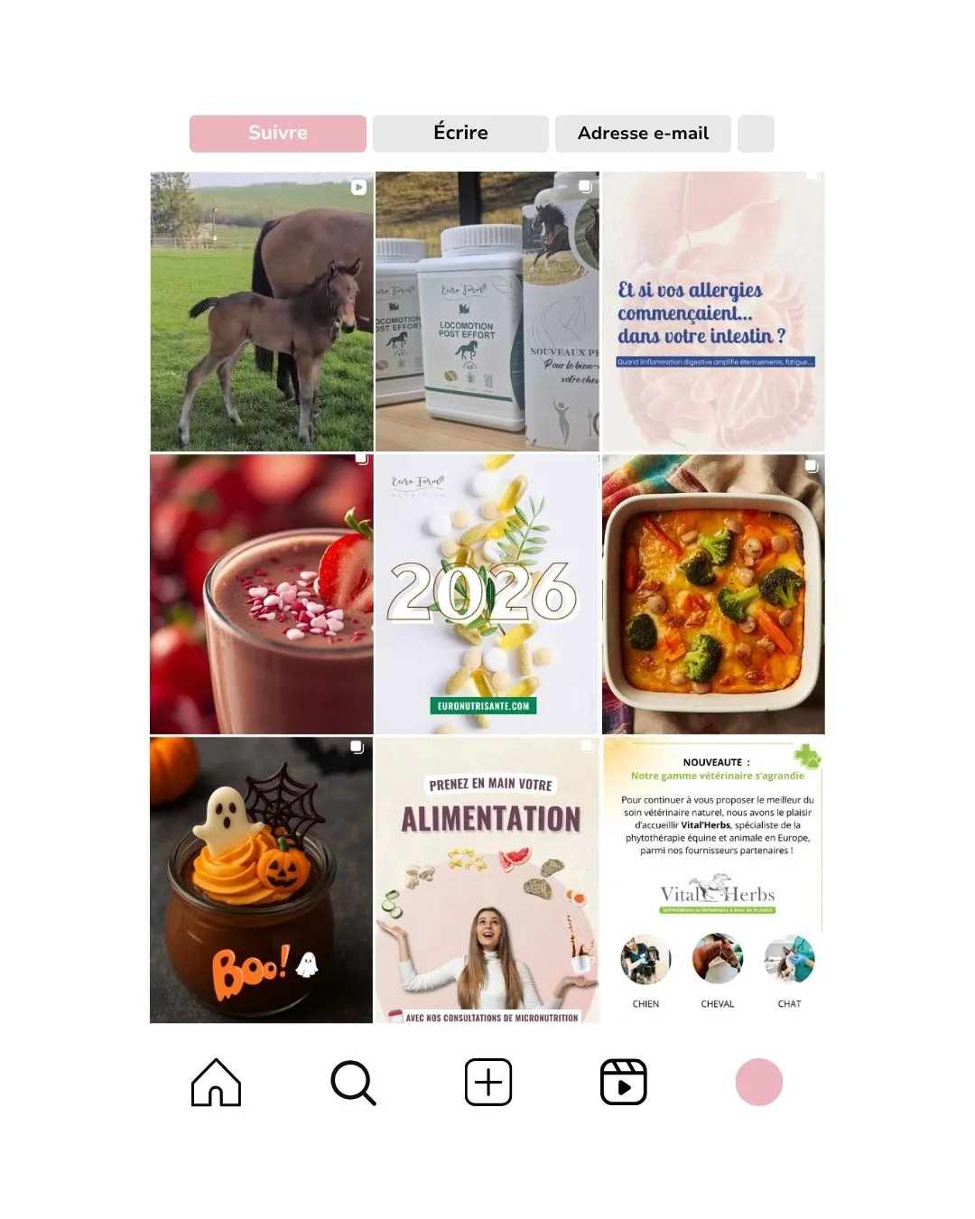 Feed Instagram de Euro Nutri Santé avant l’accompagnement